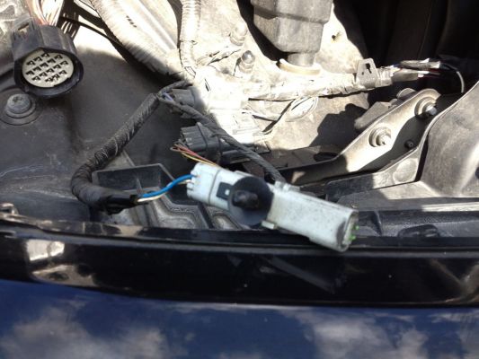 RRSPORT.CO.UK • View topic - Severed head(light) wiring mystery